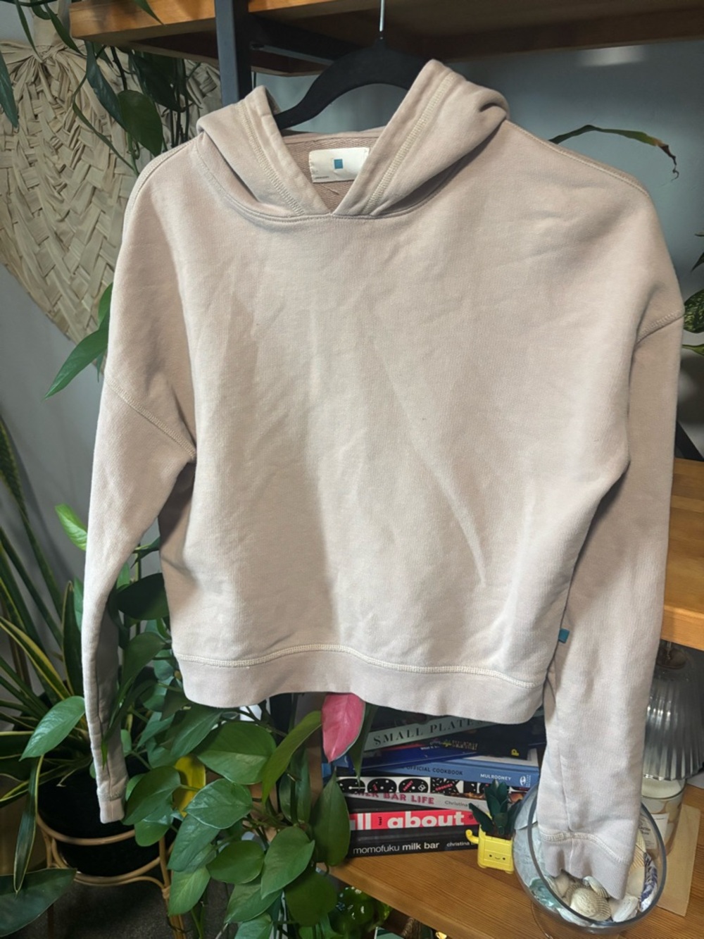 Jason Scott Light Purple Pullover Hoodie | XS